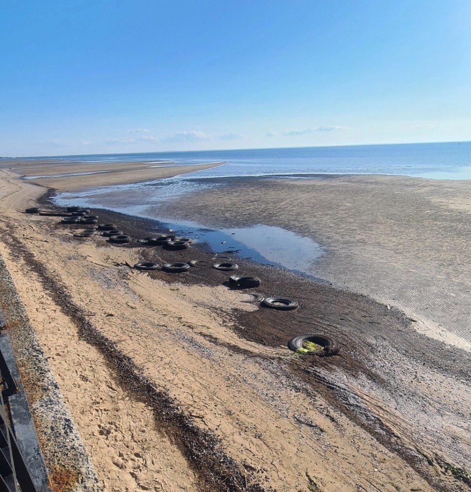 В Северодвинске на пляже насчитали 200 выброшенных покрышек